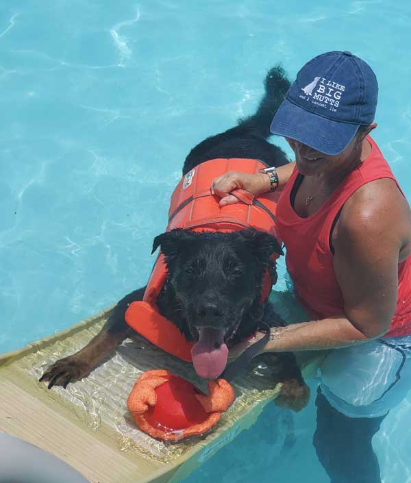 canine aqua therapy and massage