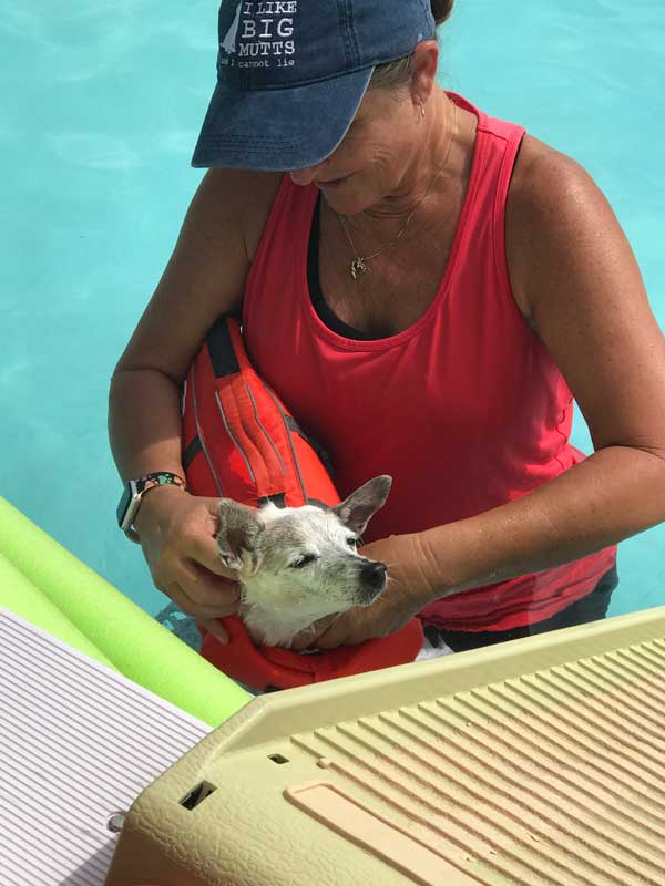 aqua therapy
